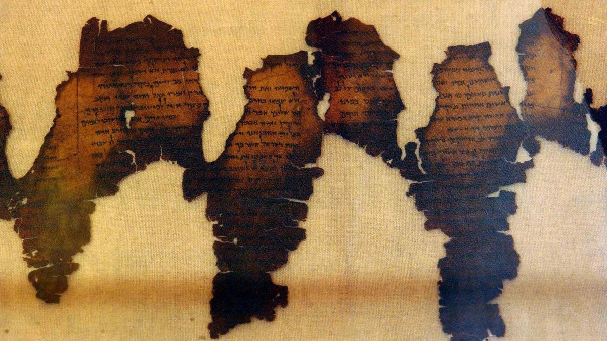 Ancient dead sea scrolls laid out