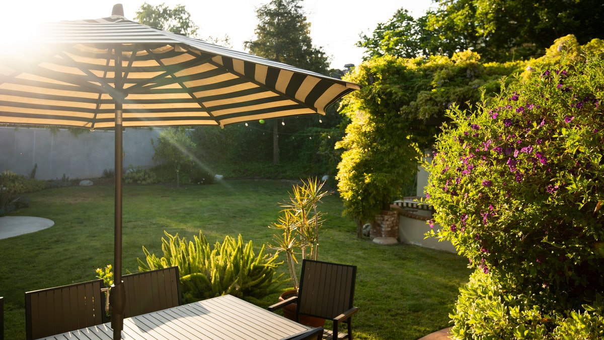 Relax in your newly furnished and decorated backyard.
