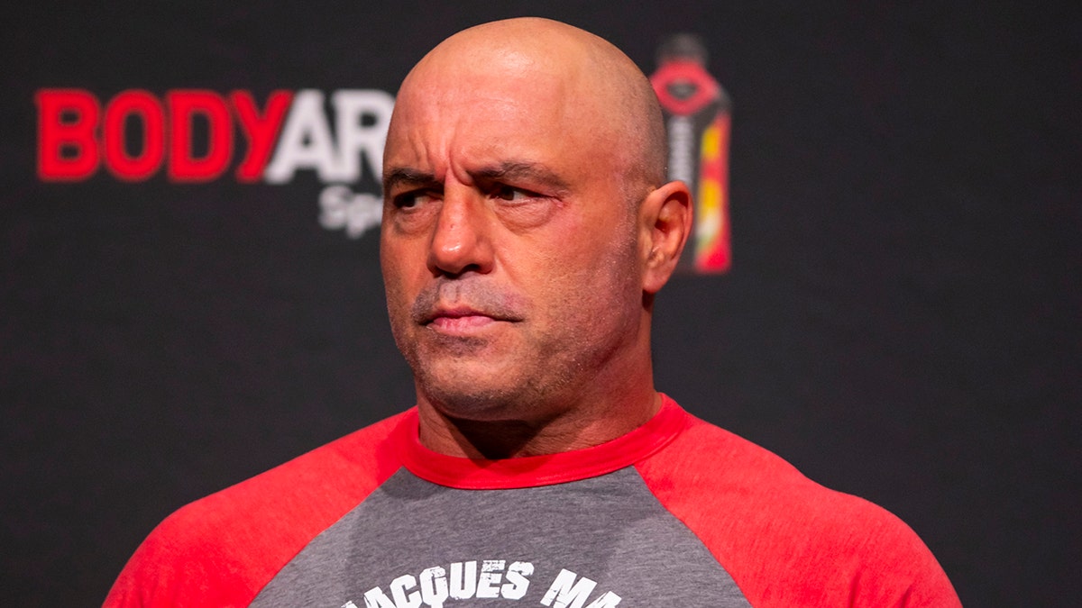 Joe Rogan at a UFC fight