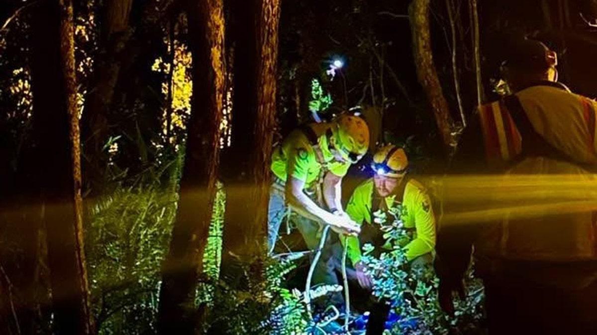 A tourist fell off a cliff near an active volcano in Hawaii