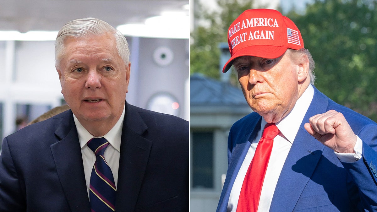 lindsey graham and donald trump split