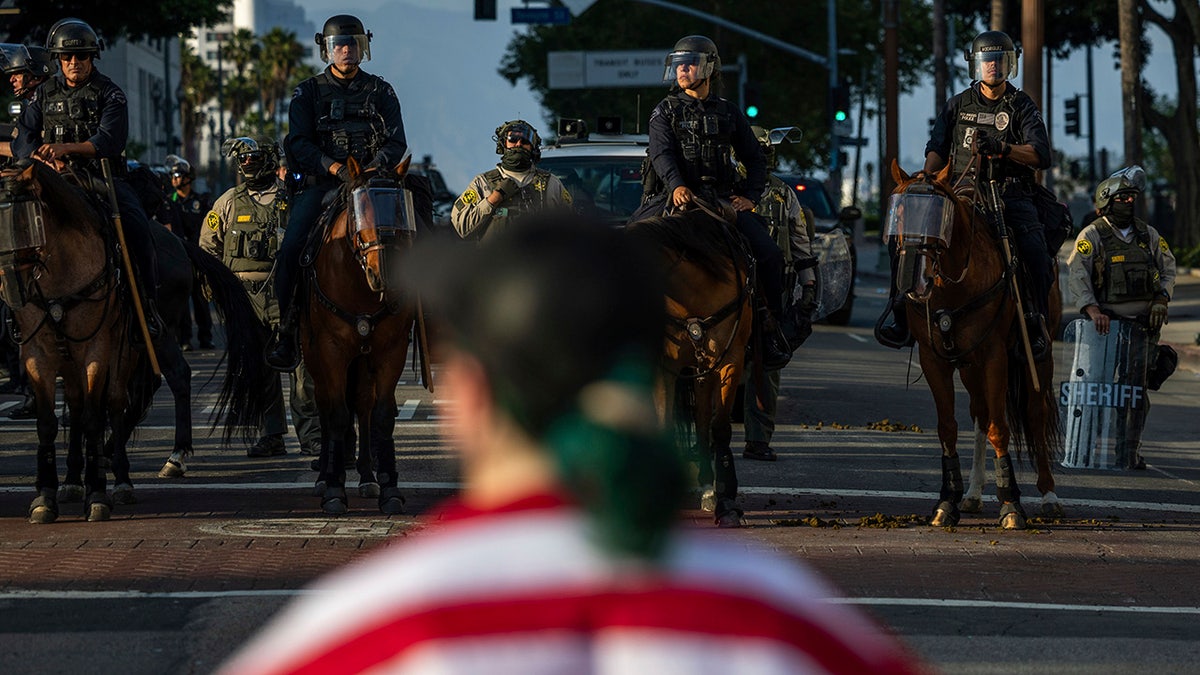 Protester with American flag confronts police on horseback