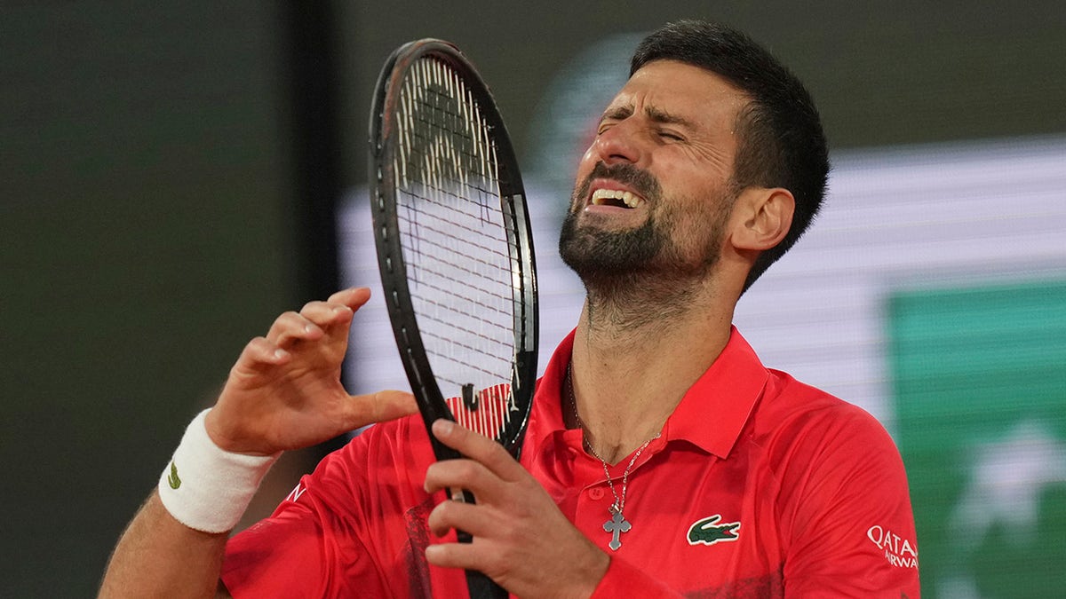 Novak Djokovic reacts