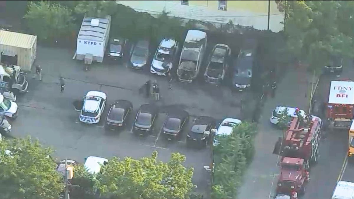 NYPD burned vehicles