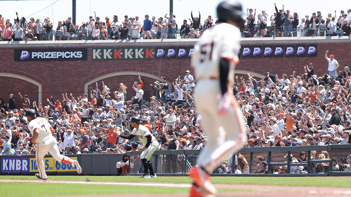 San Francisco Giants Fan