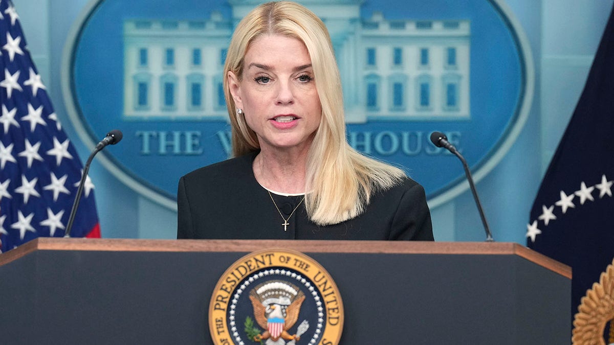 MR PAM Bondi General