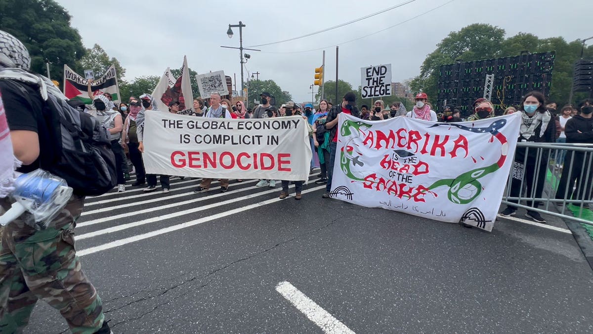 Demonstrators at the Philadelphia #NoKings rally protested Israel and America, in addition to President Trump.