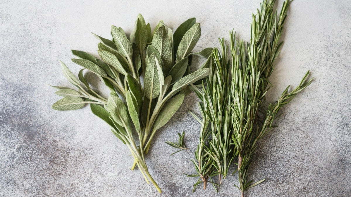 A bunch of fresh sage and rosemary