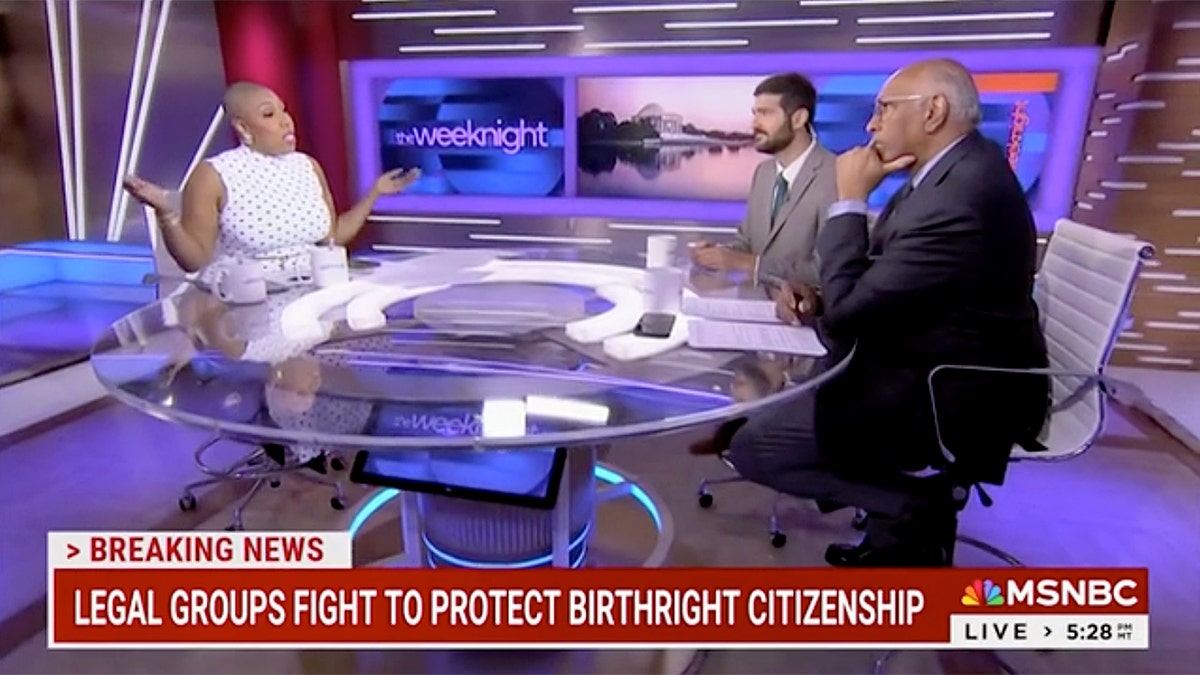 Symone Sanders, Michael Steele