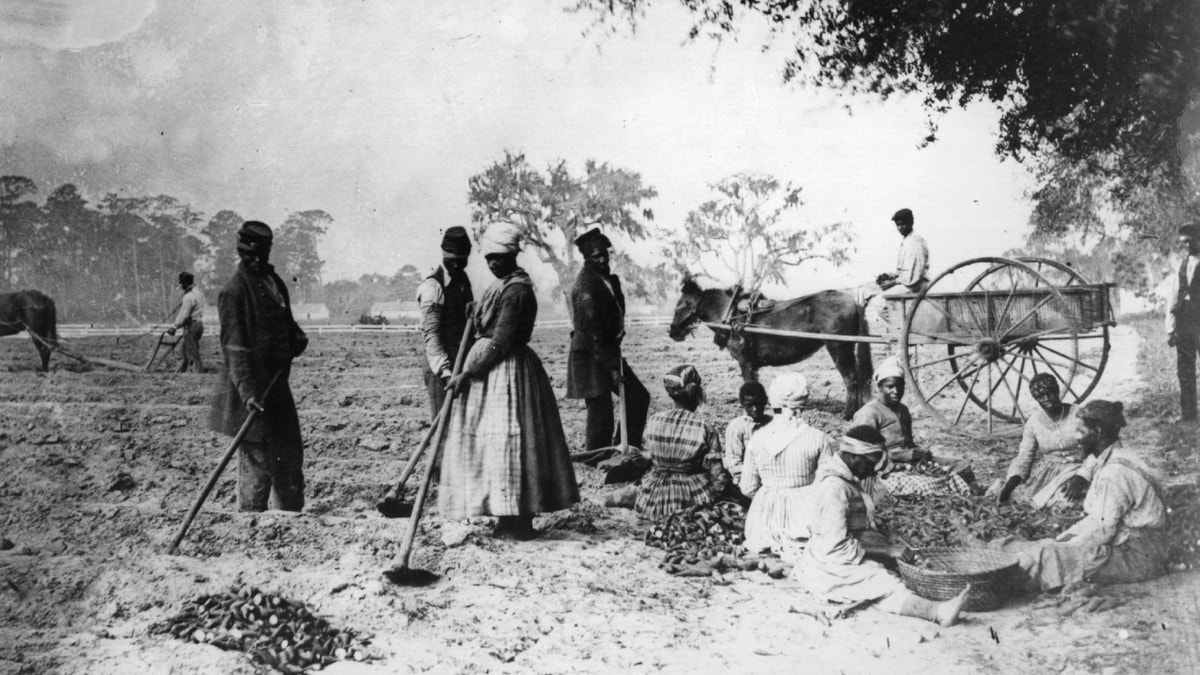 African-American sharecroppers in 1800s