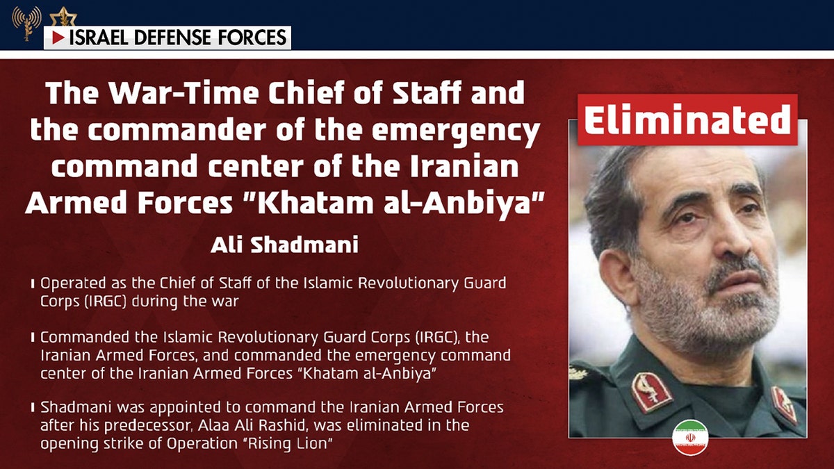 Poster describing Ali Shadmani