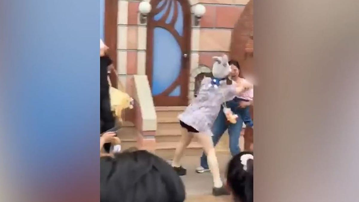 people fight at disneyland in china