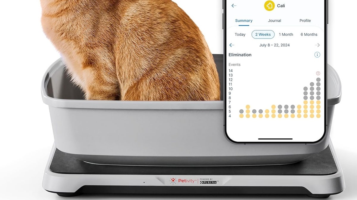 The Petivity litter container show strategy is simply a smart instrumentality that monitors your cat's wellness by search their weight and litter container habits erstwhile placed beneath immoderate litter box.