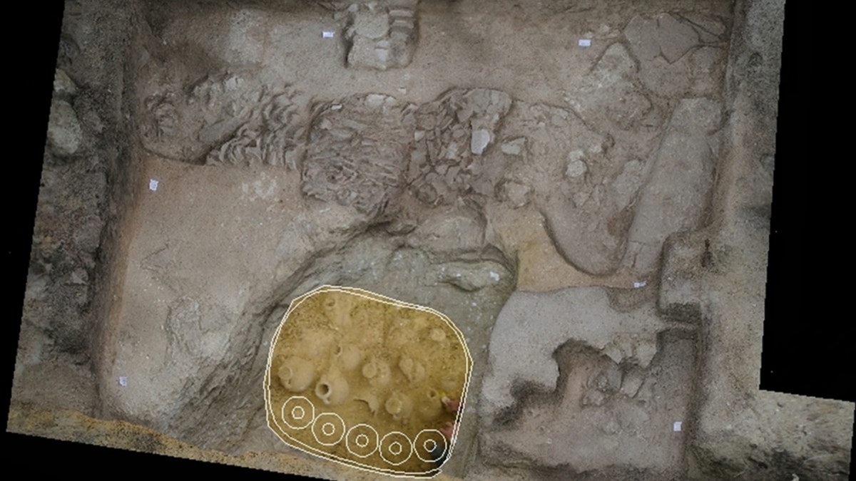 Model showing where amphorae were found