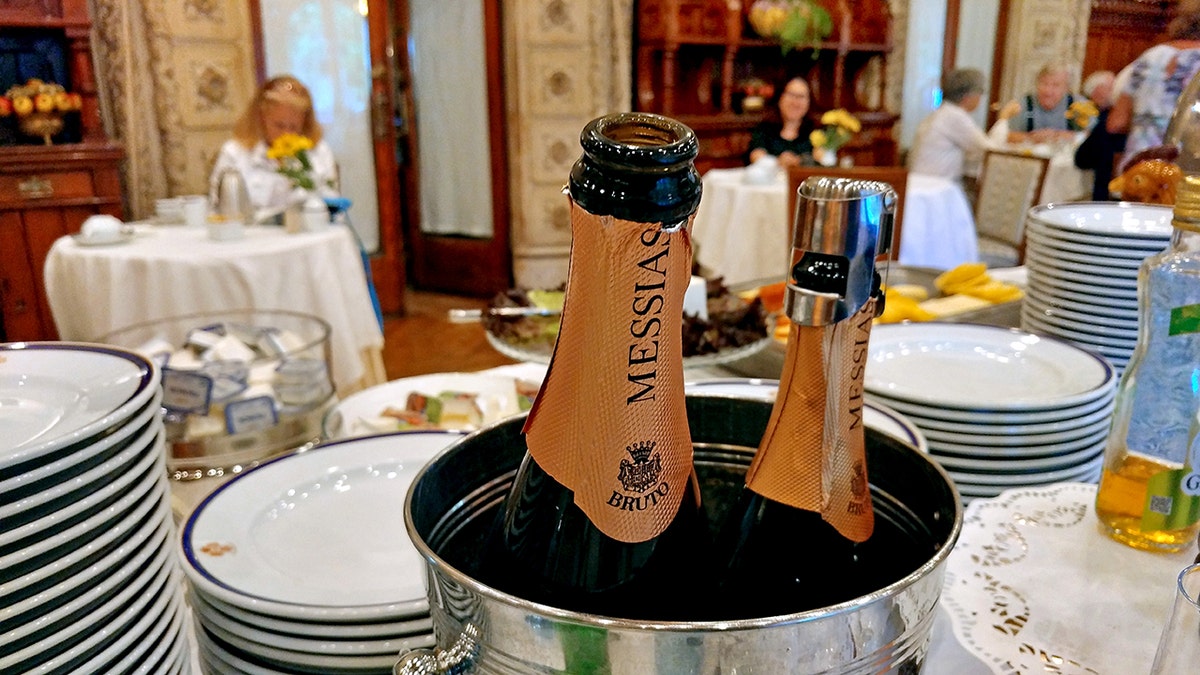 Two unfastened bottles of sparkling vino beryllium successful a metallic crystal bucket.