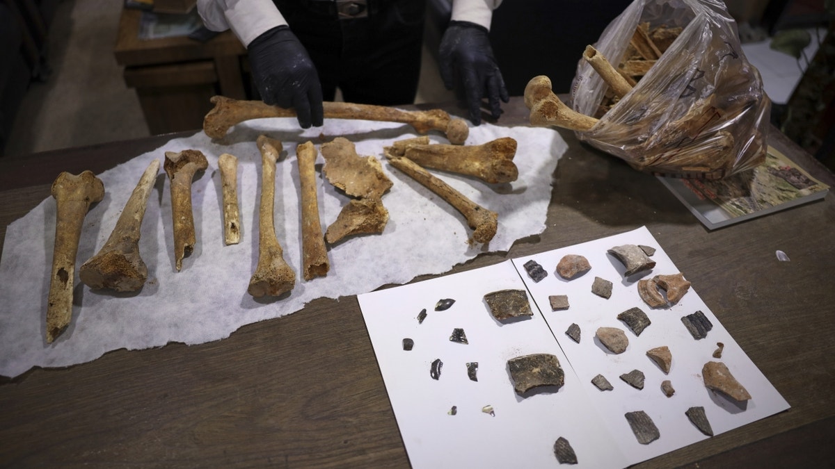 Bones and artifacts on display