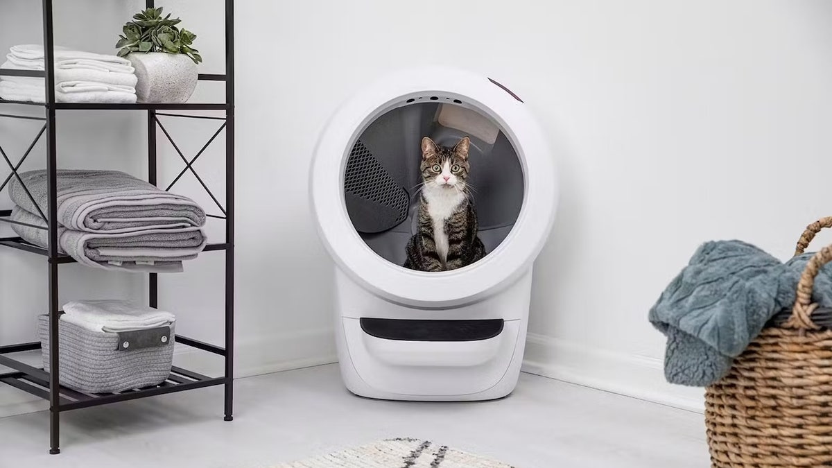 The Whisker Litter-Robot 4 is an automatic litter box known for its sleek design, quiet operation and strong odor control.