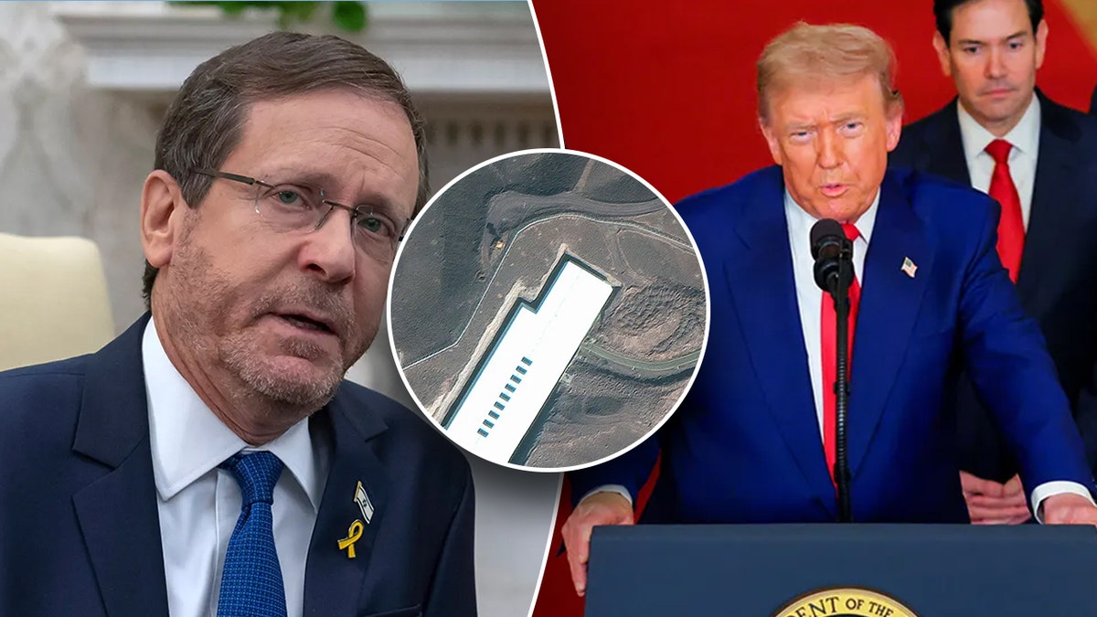 Herzog, Trump, Fordwow separated.