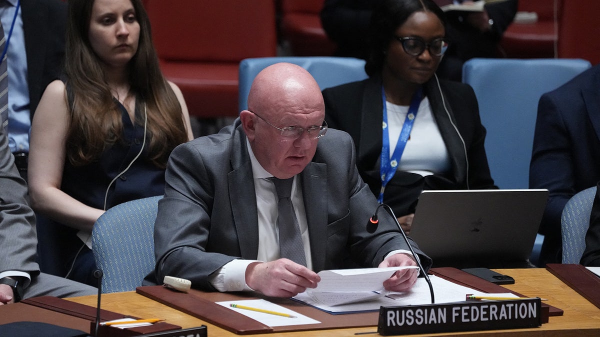 Russian ambassador Vassily Nebenzia speaks at the U.N.
