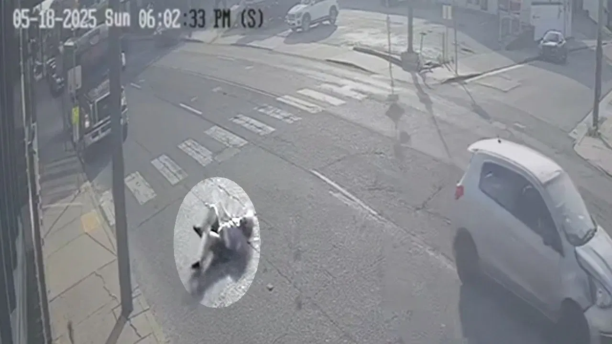 Nashville hits suspect seeks