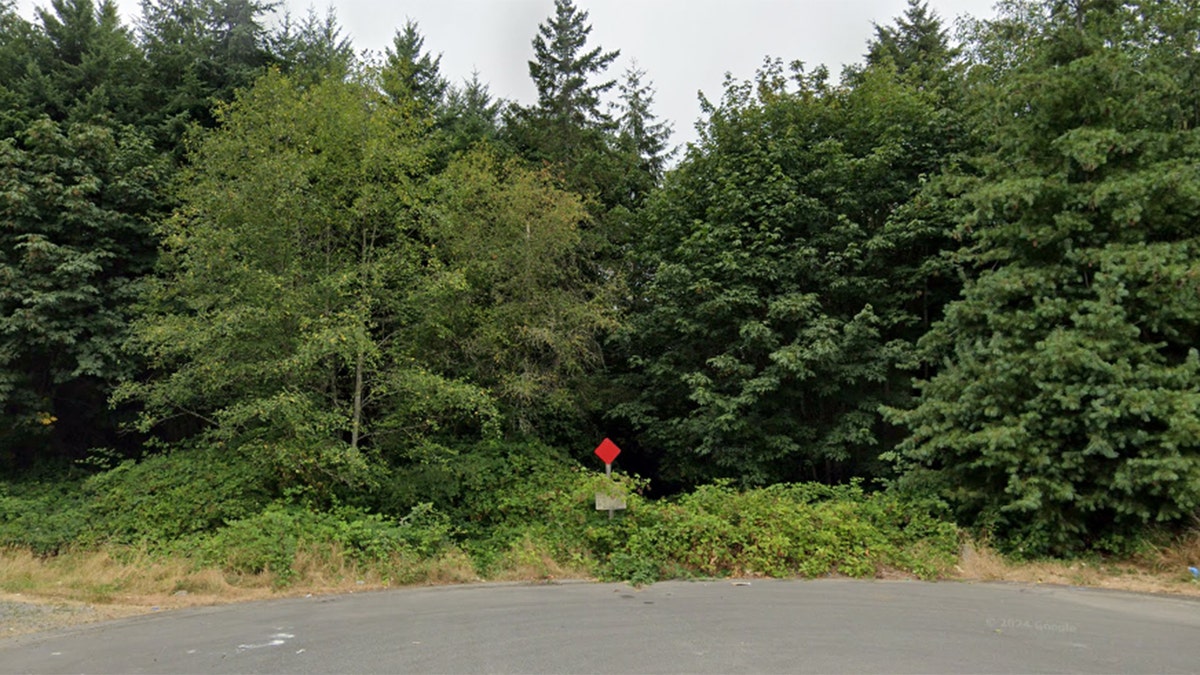 A hiker went missing for up to five days in the Washington wilderness