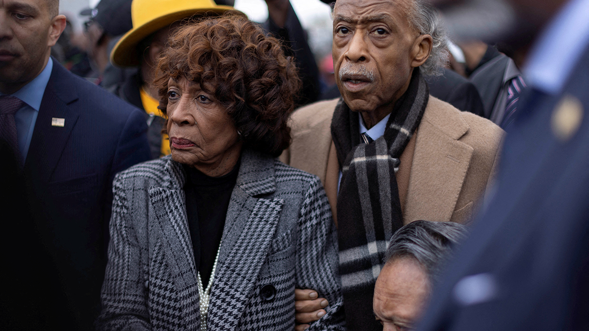 Maxine Waters and Al Sharpton in a crowd