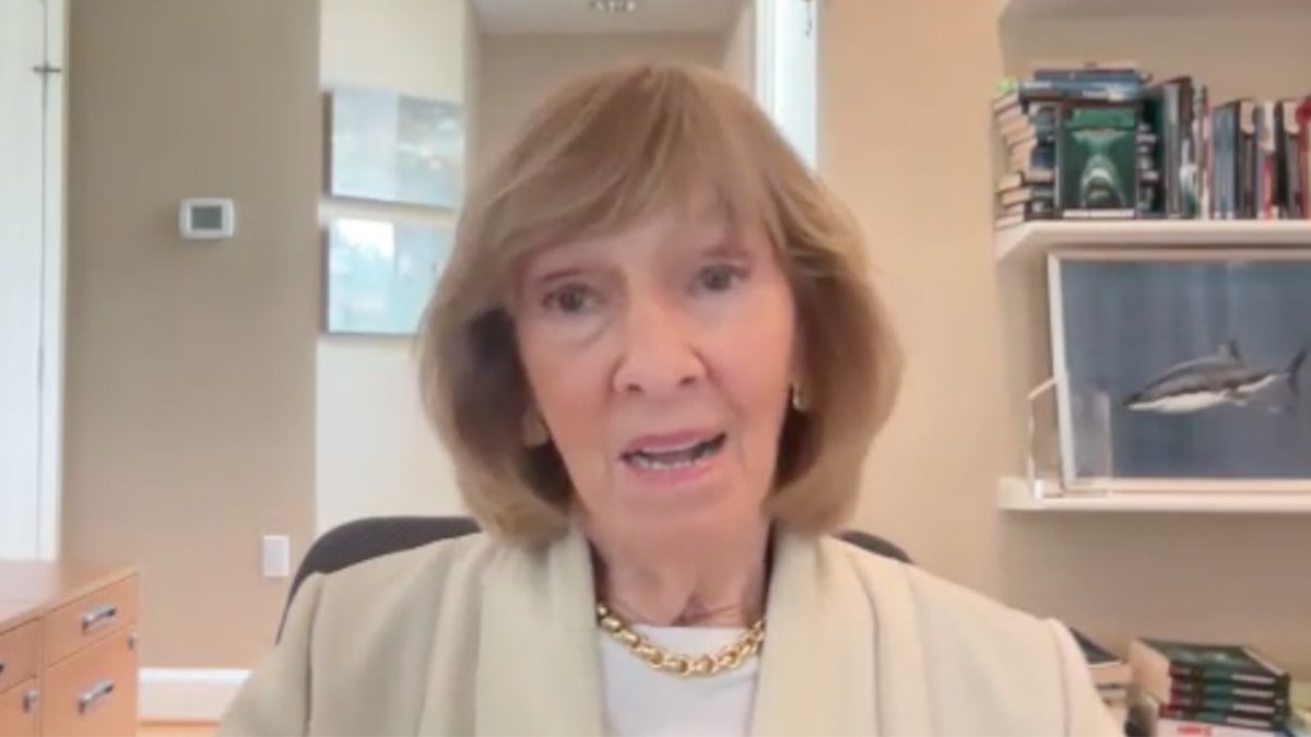 Ocean conservationist Wendy Benchley