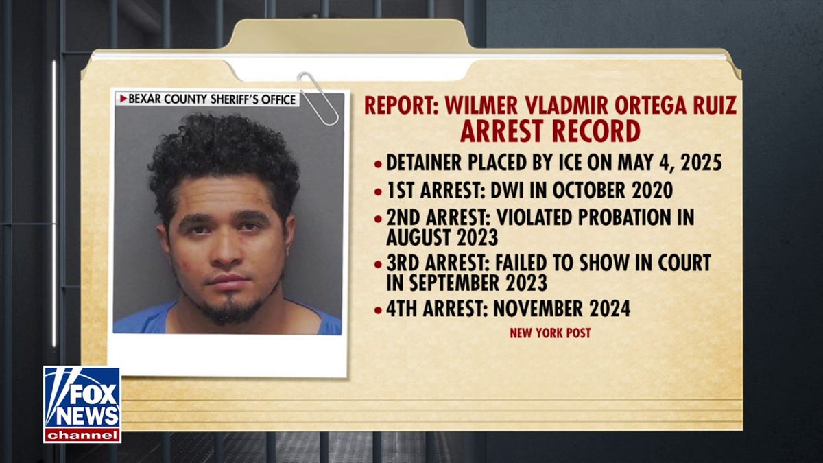 威尔默·弗拉基米尔·鲁伊斯·奥尔特加(Wilmer Vladimir Ruiz Ortega)的逮捕记录