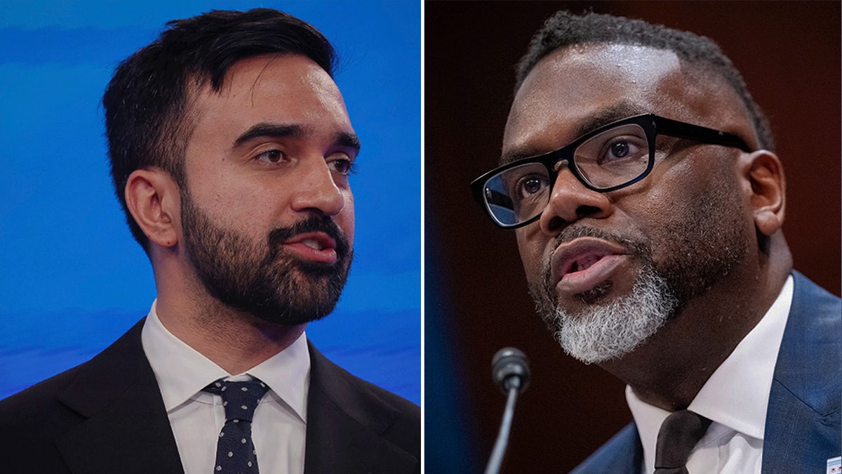 Zohran Mamdani and Mayor Brandon Johnson