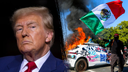 Trump says 'disrespect' toward National Guard in LA 'will not be tolerated': 'If they spit, we will hit'