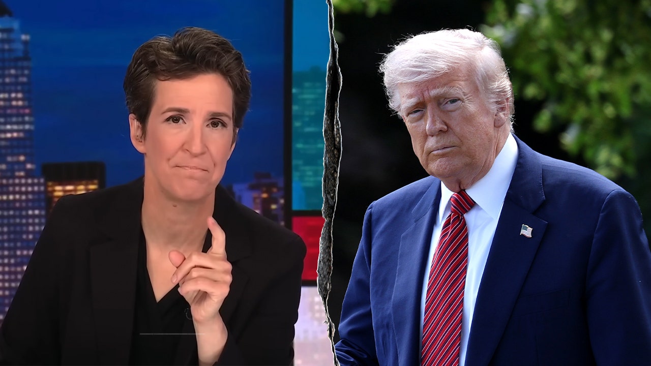 Rachel Maddow declares victory against Trump over immigration protests,  says 'game over, you lose'
