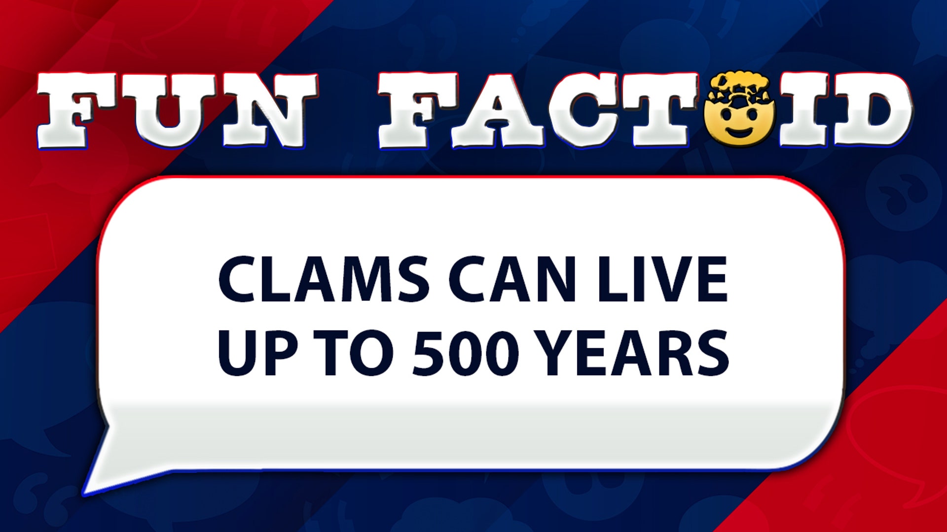 clams can live up to 500 years