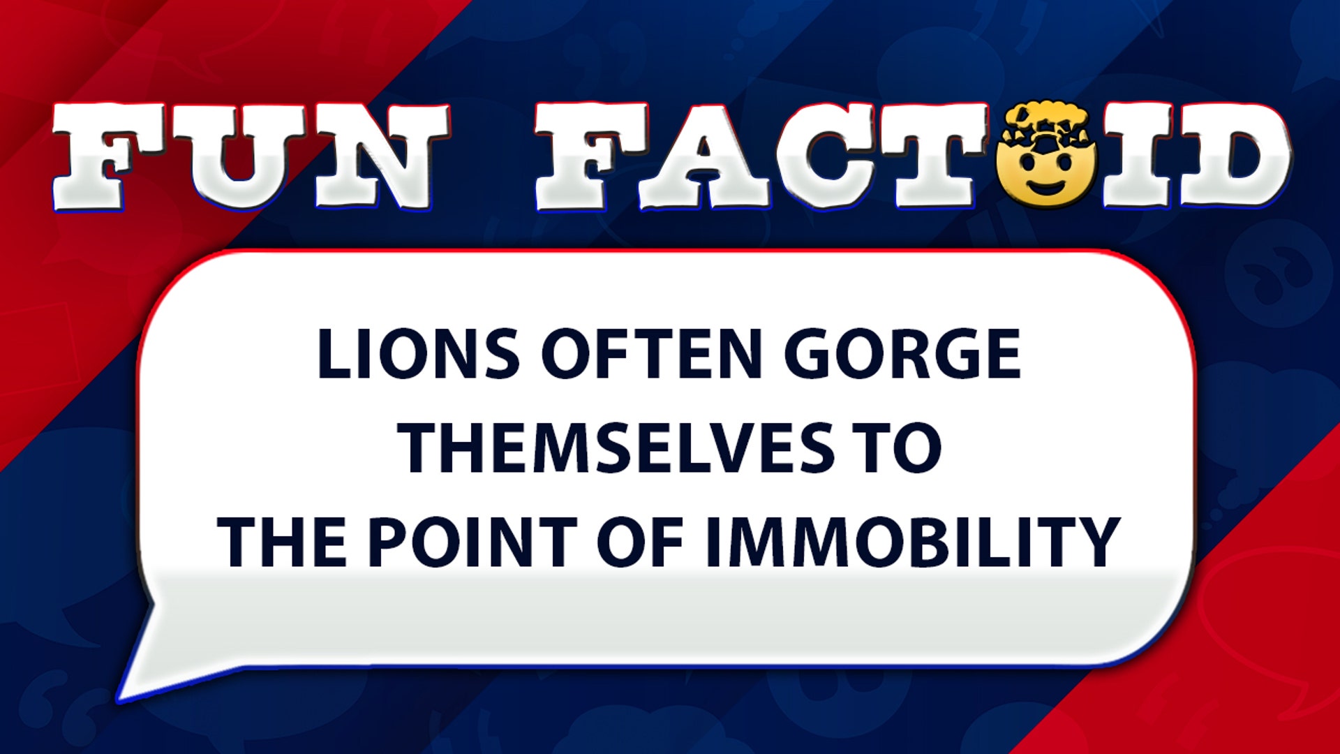 Lions often gorge themselves to the point of immobility