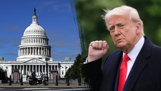 Trump warns of 'whopping 68% tax increase' if Senate fails to pass historic bill