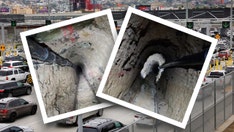 Border Patrol agents shut down massive drug smuggling tunnel between Tijuana and San Diego