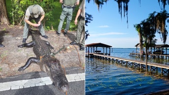 Girl's afternoon swim turns into nightmare encounter beneath water's surface - Fox News