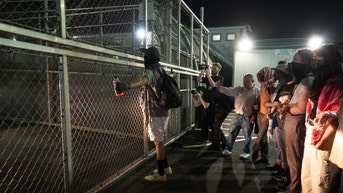 Detainees admit entering US illegally but say they feel 'kidnapped' in group letter - Fox News