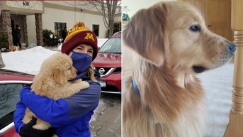 Family dog euthanized after Minnesota lawmaker and husband murdered in home attack - Fox News