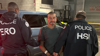 Sheriff slams Newsom as ICE reveals criminal backgrounds of immigrants arrested in LA - Fox News