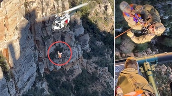 Officials make dramatic rescue of hiker after 3-day search near 'Edge of the World' - Fox News