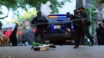 Anti-ICE protests spread nationwide with wild scenes caught on video - Fox News