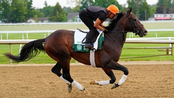 Sovereignty wins 157th Belmont Stakes, charging past Journalism down final stretch - Fox News