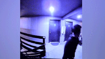 Police chief 'shudders' over video showing suspected gang members swarming apartment - Fox News
