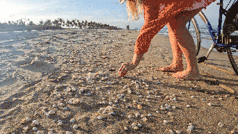 Viral video shows tourist handling shell of 'world's deadliest' animal at beach - Fox News