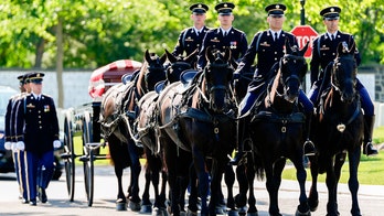 Army's historic horse-drawn funeral tradition returns from two-year hiatus after $28M overhaul