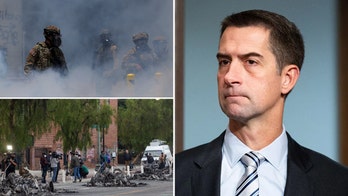 Tom Cotton pushes new crackdown on pro-immigration rioters in Los Angeles, citing ICE assaults