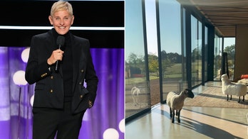 Ellen DeGeneres shows off English countryside home as sheep invade through open door