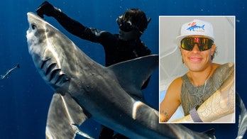 Diver who freed sharks gets Trump pardon after felony conviction stuns him: 'My heart sank'
