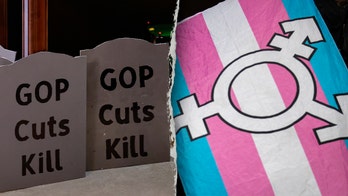 Dems 'deliberately obfuscating' truth about 'big, beautiful bill' with this claim: Watchdog