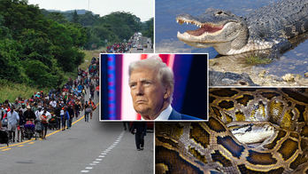Trump to visit 'Alligator Alcatraz' for grand opening of swampy Everglades detention center for illegal aliens